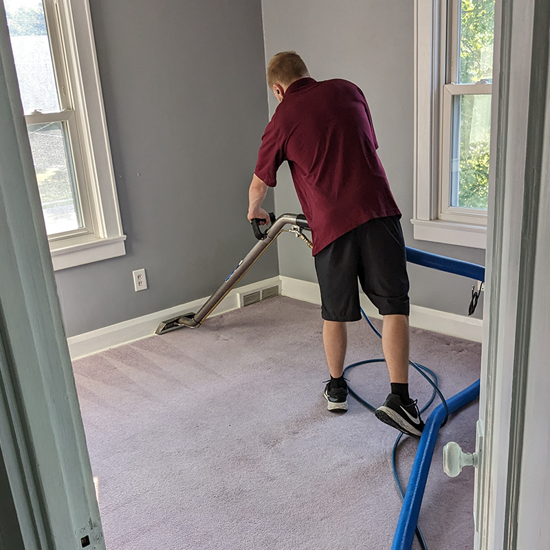 cleaning-carpet